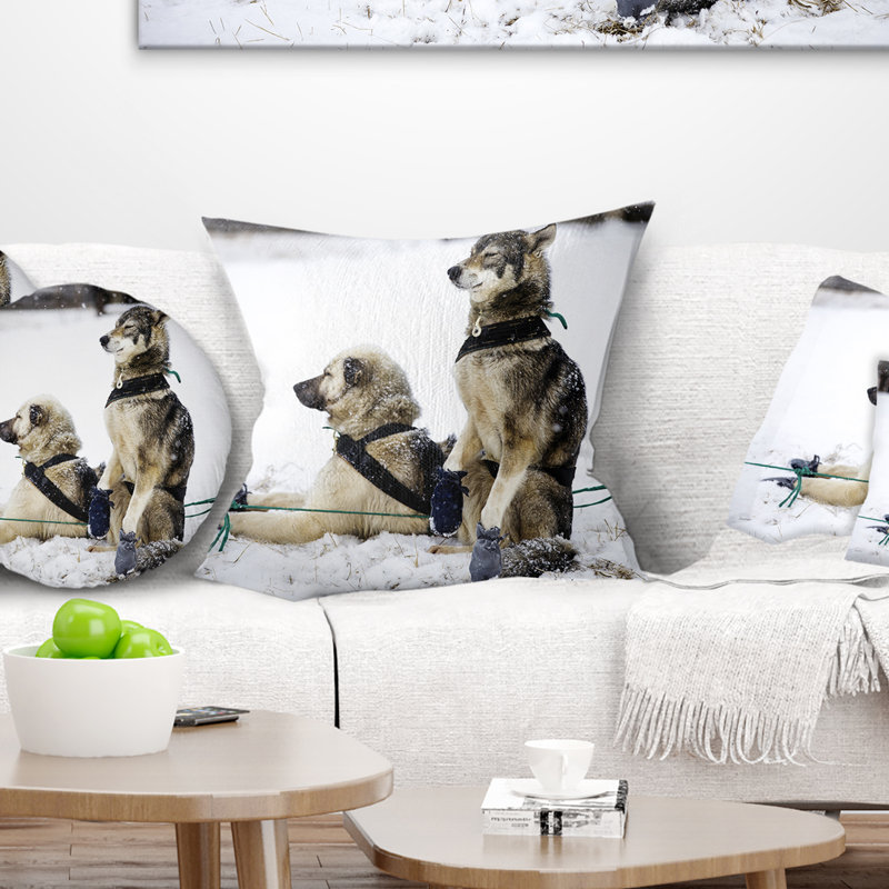 Coussin de détente pour grands chariots animal, 16 po x 1 po, Coussin décoratif