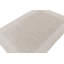 Hand Knotted Area Rug in Beige