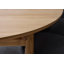 Tanza Extendable Dining Table