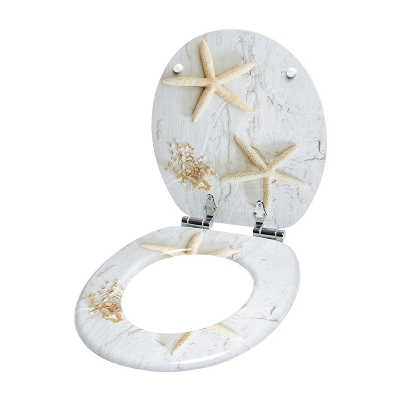 Elongated Toilet Seat and Lid