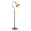 Lampe de plancher moderne de forme libre Ironwork