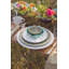 Dinner Plate 11"-1766889003