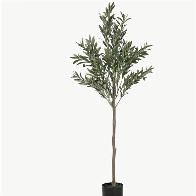 66" Artificial Olive Tree with Black Plastic Pot