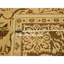 Tapis Biscotti brun 10 pi x 13 pi 10 po, Agra, motif de feuilles, velours zéro, 100% laine, noué à la main, colorants végétaux, tapis oriental