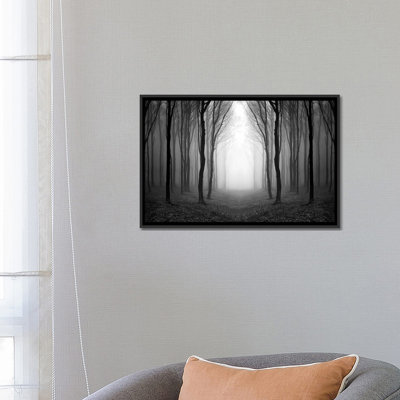 " Dark Woods " by PhotoINC Studio