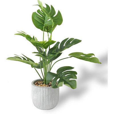 Planter