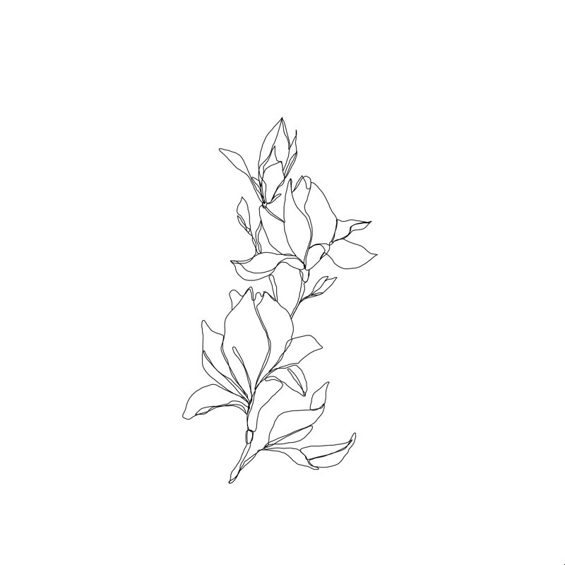 «Magnolia by the Color Study» par Tanya Scott - reproduction d'art sur toile tendue, H 12 po x l 12 po, Toile encadrée noire