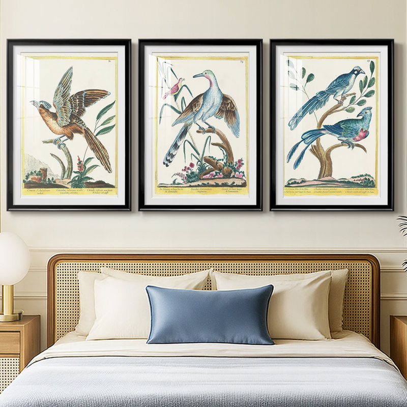 Pastel Birds IV - impression encadrée de qualité supérieure sur mesure mat - 3 pièces, Noir, H 21 po x l 30 po