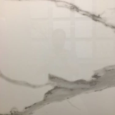 Calacatta Statuario Porcelain Matte, 12" W x 24" L