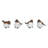  Small Resin Flicker Woodpecker Bird Set of 4 Spring Home Decorations