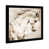 Black Framed selected