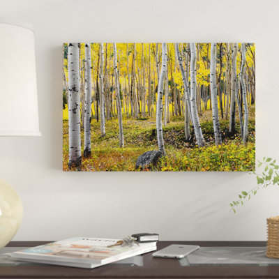 " Golden Times Rockies " Print