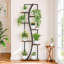Support pour plante d'intérieur 62 po avec lumière de croissance, 7 niveaux, ensemble de 2 tablettes en forme de S - Support à plante élégant pour la maison et le bureau