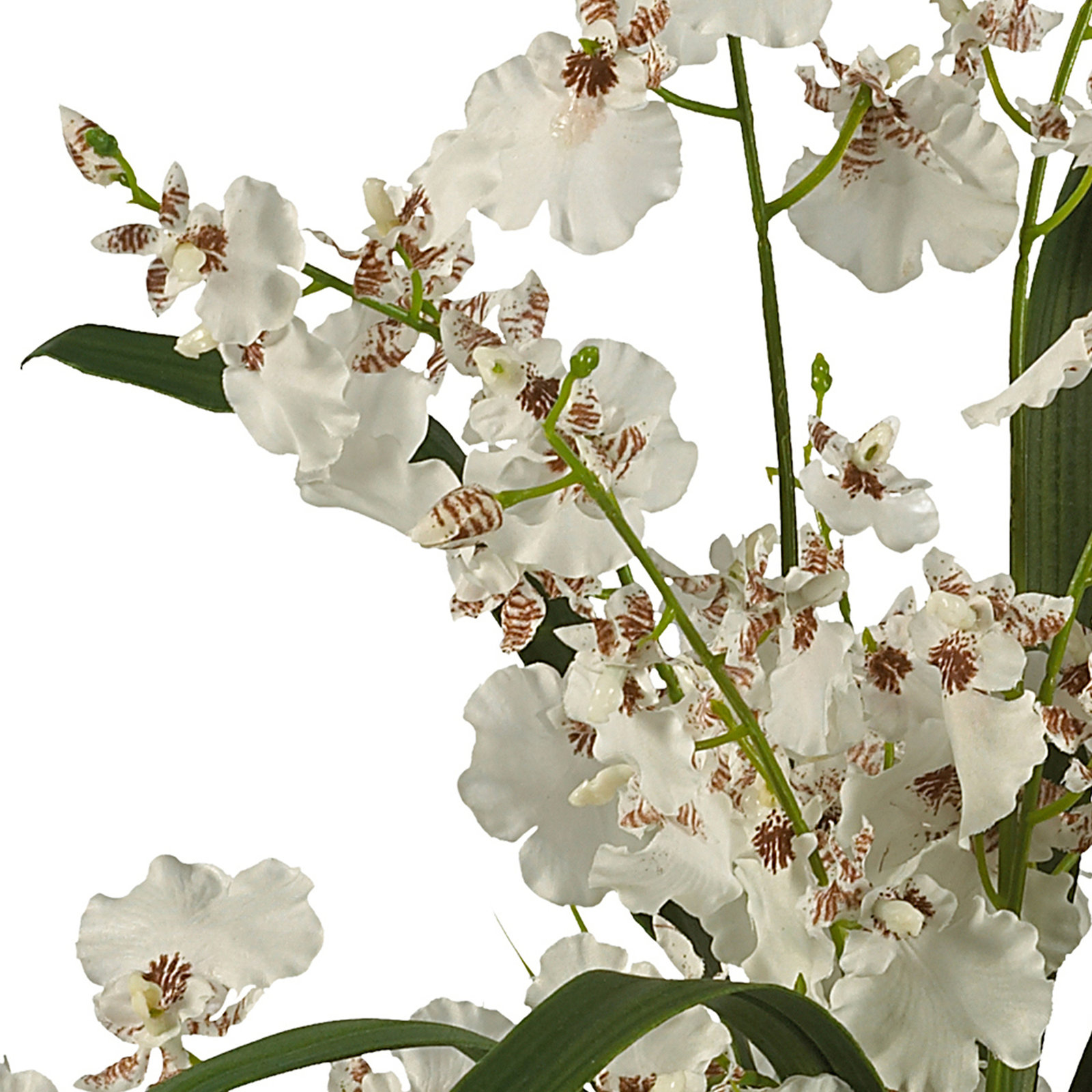 Silk Orchid Floral Arrangement, White