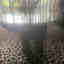 Customer photo 3 of 3