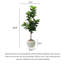 Bonsai en pot artificiel haut de gamme clair