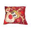 Multicolor Cushion