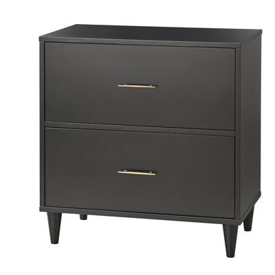 30'' Wide 2 -Drawer File Cabinet