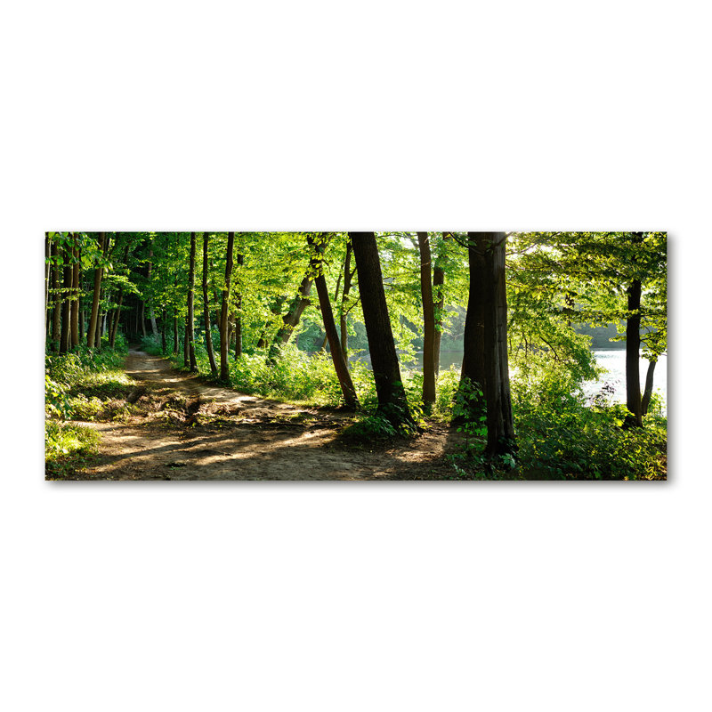 Union Rustic Path in the Meadow - Wrapped Canvas Art Prints | Wayfair.co.uk