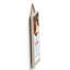 Magic Of Christmas Santa Paws Wooden Plaque Vivid Squid Wholesale Wall Decor