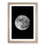 The Beauty of the Moon - Picture Frame Graphic Art Print-55735783-55735780