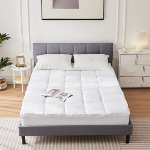 https://assets.wfcdn.com/im/42007463/resize-h310-w310%5Ecompr-r85/2662/266222284/sodhi-alwyn-home-066-quilted-fitted-mattress-pad-mattress-topper-cover.jpg