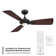 Mykonos 52" 3 - Blade Outdoor/Indoor Smart Ceiling Fan with Remote Control and LED Light Kit Included, Works With Alexa and iOS or Android App