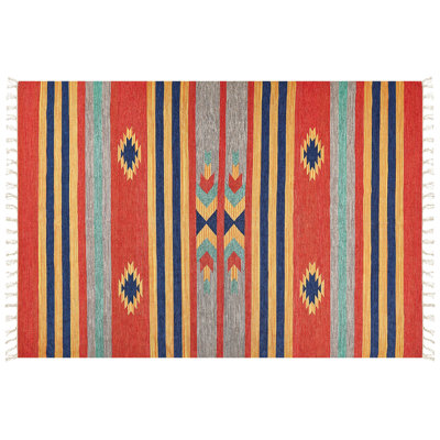 Cyprian Southwestern Cotton Hand Woven Area Rug