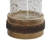 Zylo Decorative Vase, Transparent Cylinder Glass, Brown Mango Wood 13 Inch