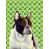 Bouledogue français (brun et blanc)