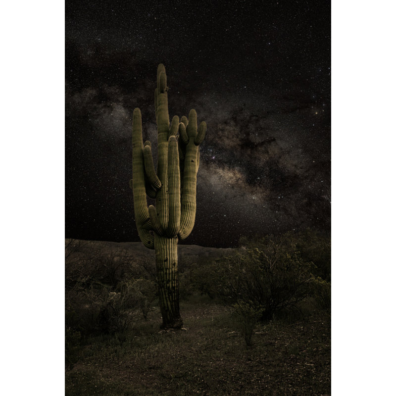 Wrapped Canvas Print, 76.2 cm H x 50.8 cm W