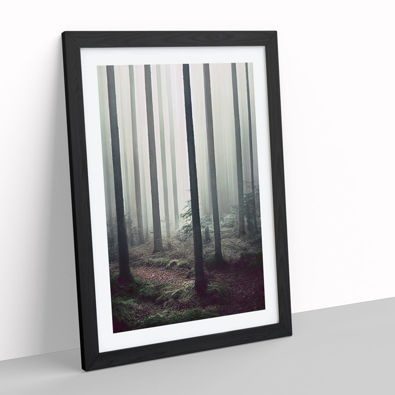 A Quiet Forest - Print, 66cm H x 48cm W x 2cm D, Black Framed, White