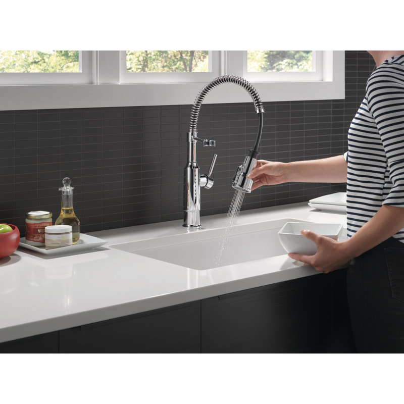Robinet d'évier de cuisine Theodora Pro, Chrome chrome