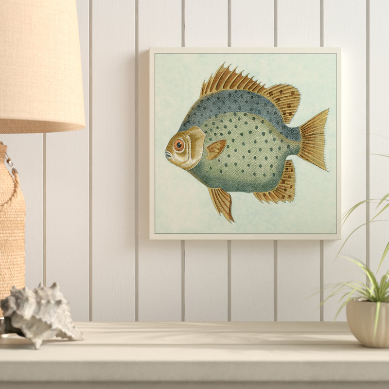 « papillon fish ii », reproduction d’impression sur toile tendue, H 18 po x l 18 po x P 2 po
