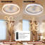 Ventilateur de plafond fermé à profil bas avec lumière 19,7 pouces Fydry-398456486-388880375