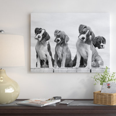 « wonder », reproduction de photo sur toile tendue