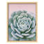 Illustration détaillée de plantes succulentes, texture botanique, petit décor-101376366-101376367