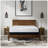 Infused 14 Inch Plush Memory Foam Mattress-868967419