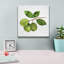 "Epip Graffiti" Citrus Garden 2 Shiplap "par Kathleen Parr, art mural sur toile, 37 po x 37 po-106172543