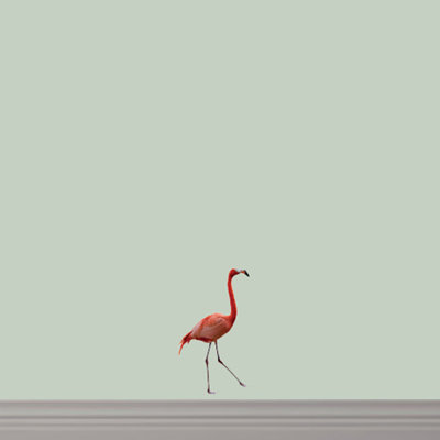 Animals Wall Decal