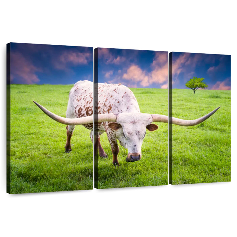 Brampt White Longhorn, 24" H x 38" W