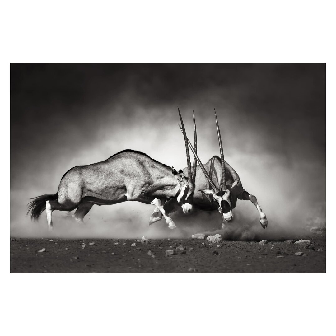 Strukturierte Fototapete Wild Fight 3,2 m x 480 cm