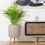 Plaited Style Cylinder Round Planter with Feet-2146352483-2146352486