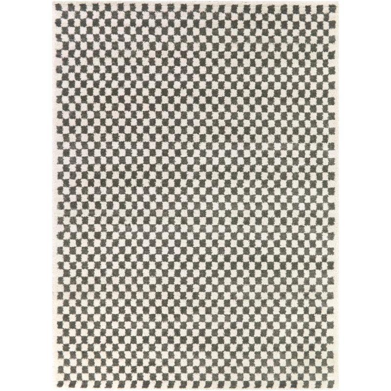 Bashein Charcoal Micro Check Area Rug, Rectangle 7'10" x 10'