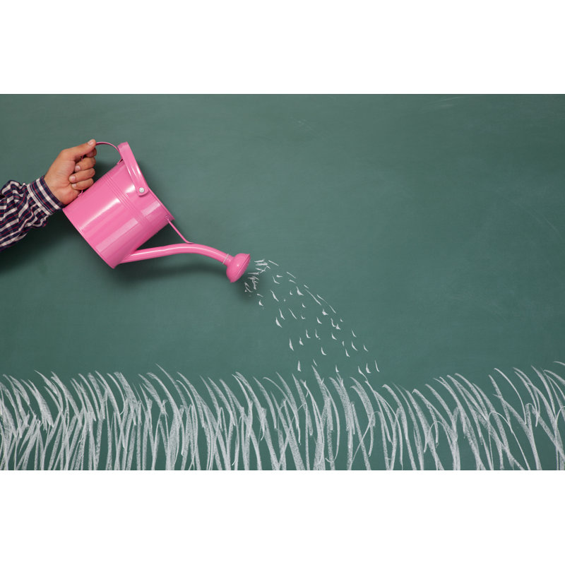 Watering Can And Grass Field On Blackboard by Selimaksan - Wrapped Canvas Print, 51cm H x 76cm W x 3.8cm D