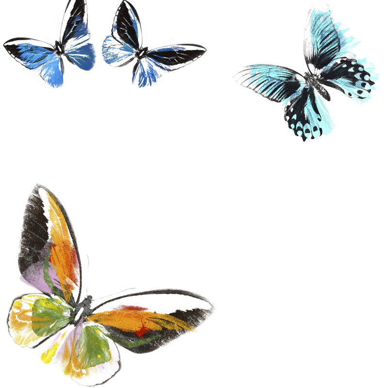 Butterflies Dance VII, H 36 po x l 36 po x P 1,25 po