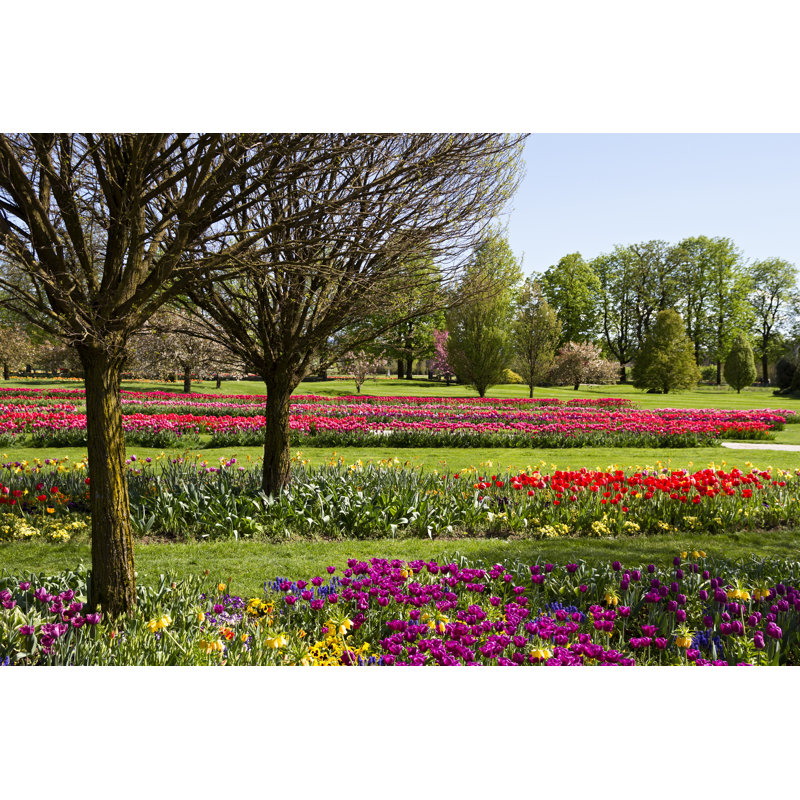 Park Spring Flowers by Tjanze, 32" H x 48" W