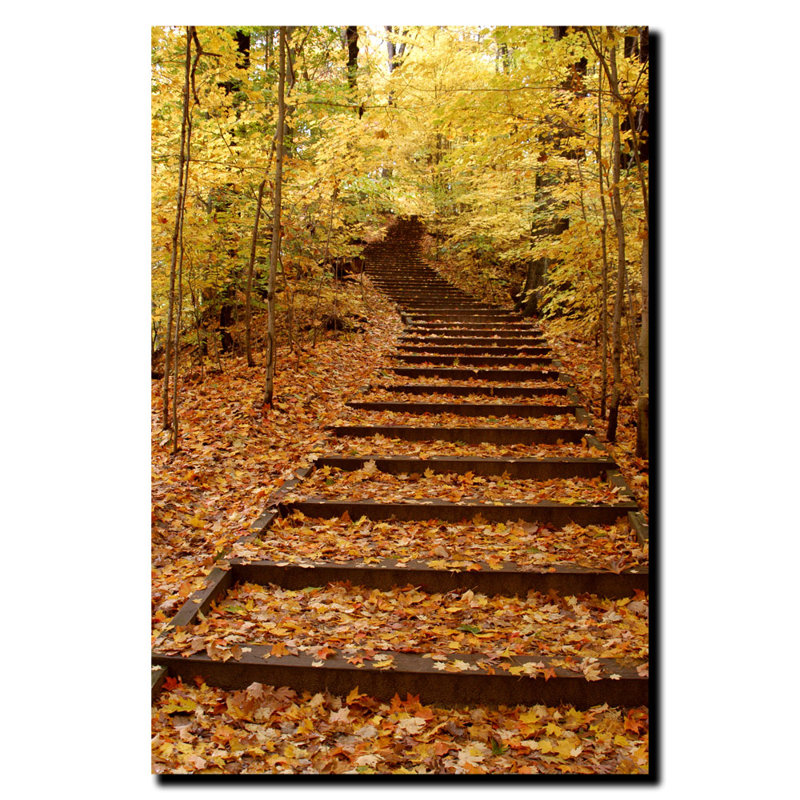 « escalier », photographie sur toile tendue Gweltaz, H 19 po x l 14 po x P 2 po