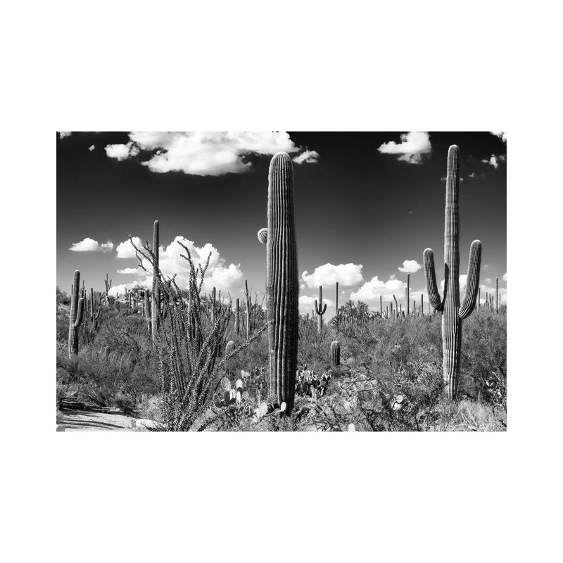 Série noire Arizona - Cactus Saguaro-PHD1475, H 26 po x l 40 po x 1,5 po