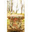 Chemin de table Jolliff-865908340